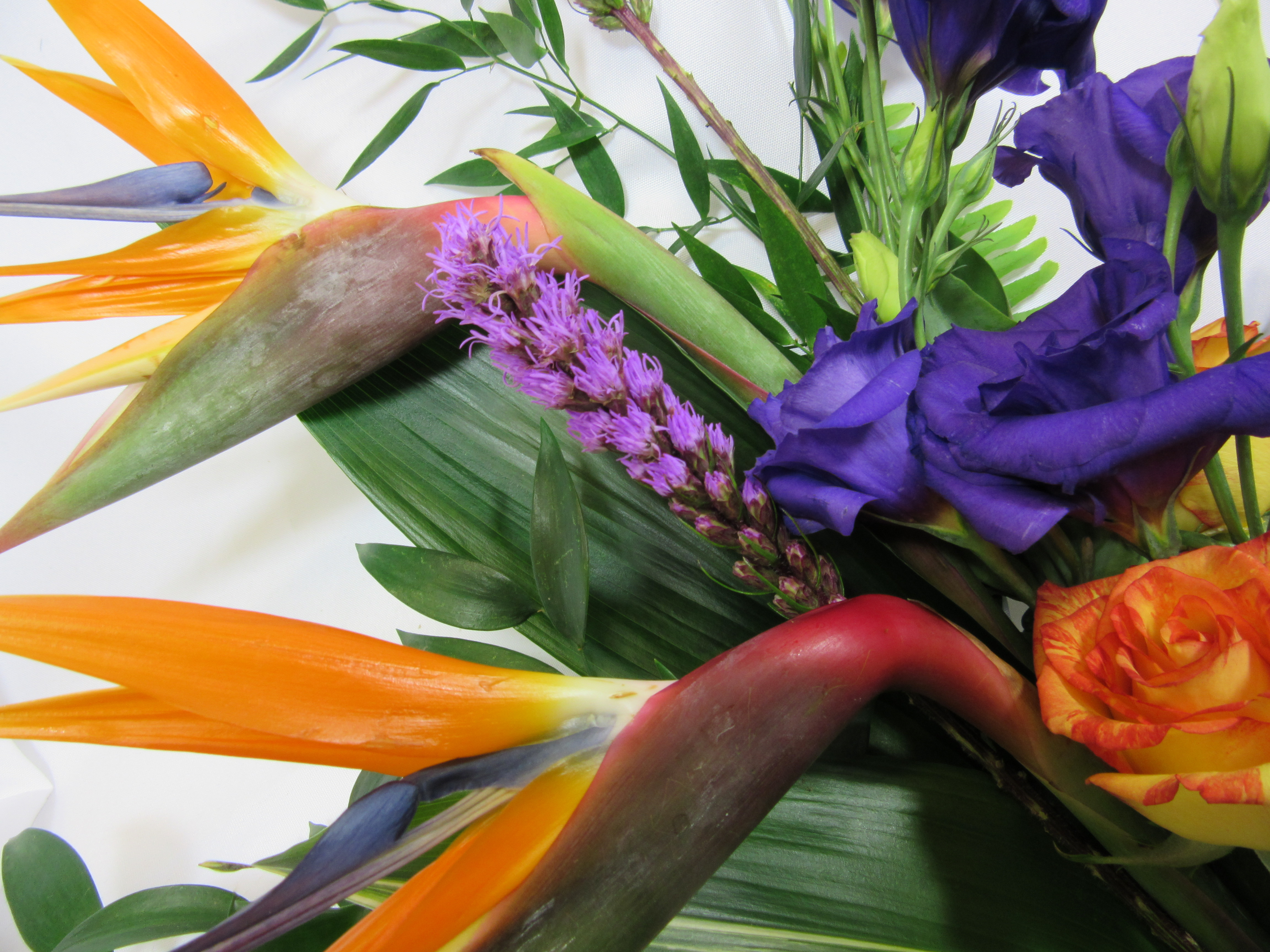 "Hot Tropics" Cut Flowers Sudbury Flower Delivery l Lougheed Flowers l Florists Sudbury