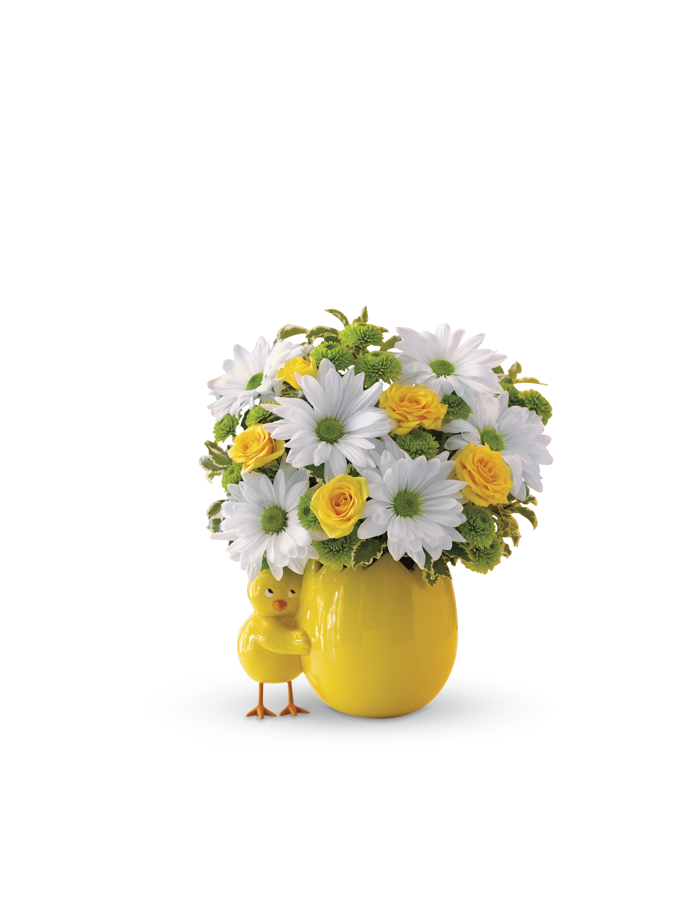 My Little Chickadee Sudbury Flower Delivery l Lougheed Flowers l