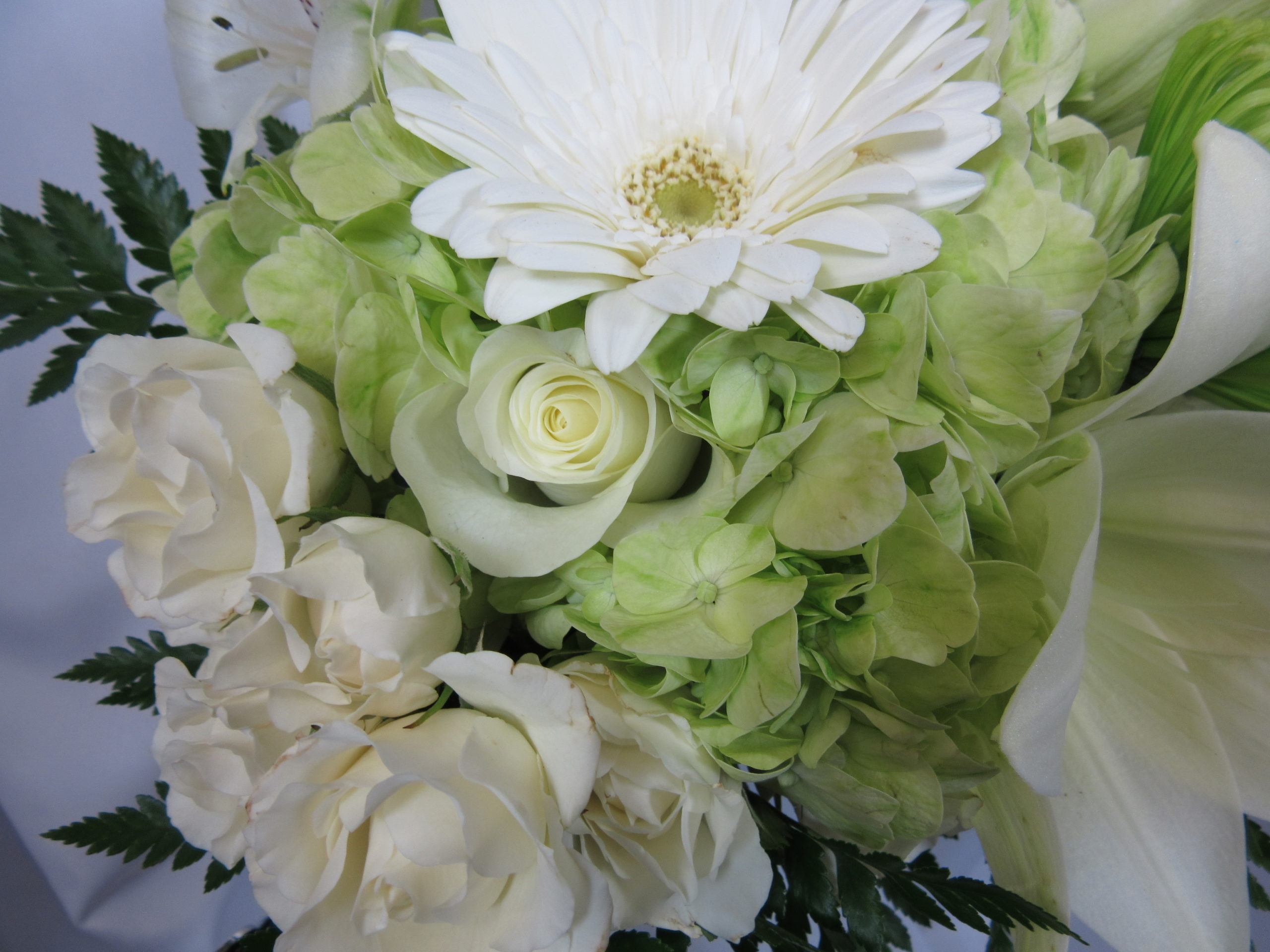 "Green with Envy" Cut Flowers