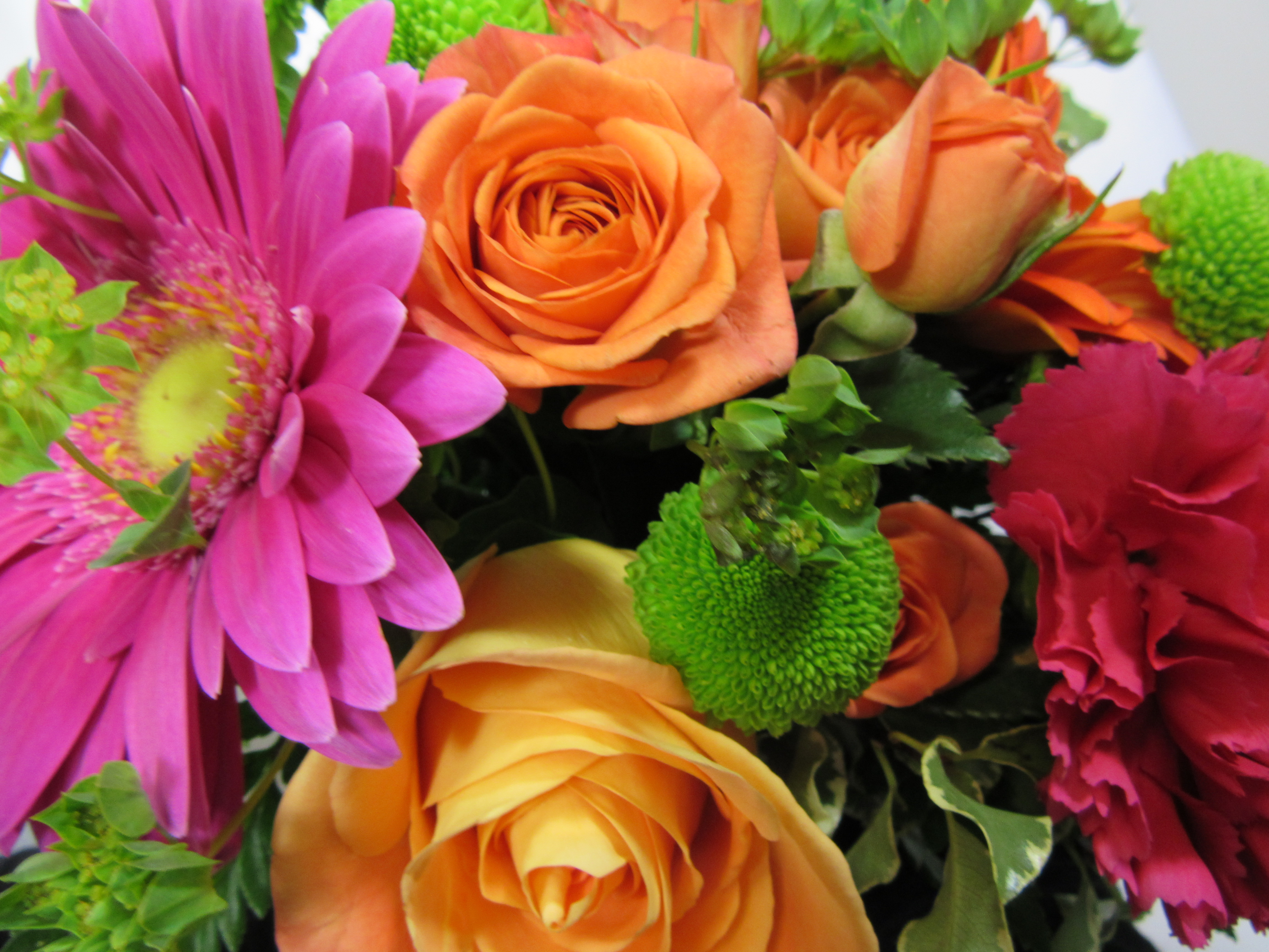  Spice it Up Cut Flowers  Sudbury Flower  Delivery l 