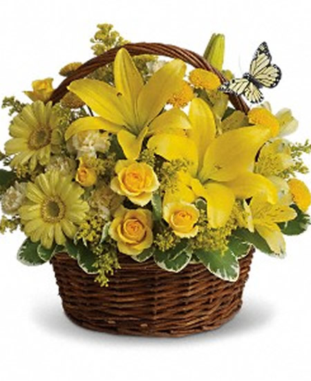 Basket Full of Wishes