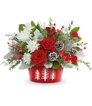 Teleflora Snowy Pines