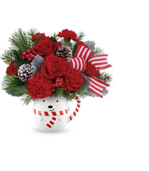 Teleflora Send a Hug Cozy Cub Wish